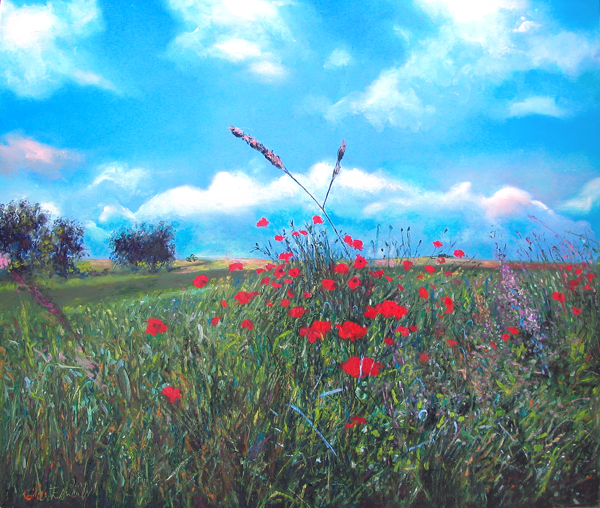 Coquelicots du Vexin — Gilles Paul Esnault — 55 × 46 cm