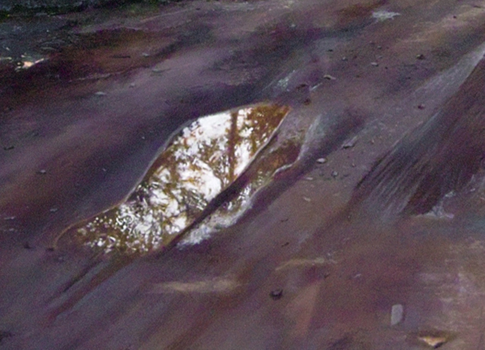 Détail — Flaque de Kôltuchi — 1