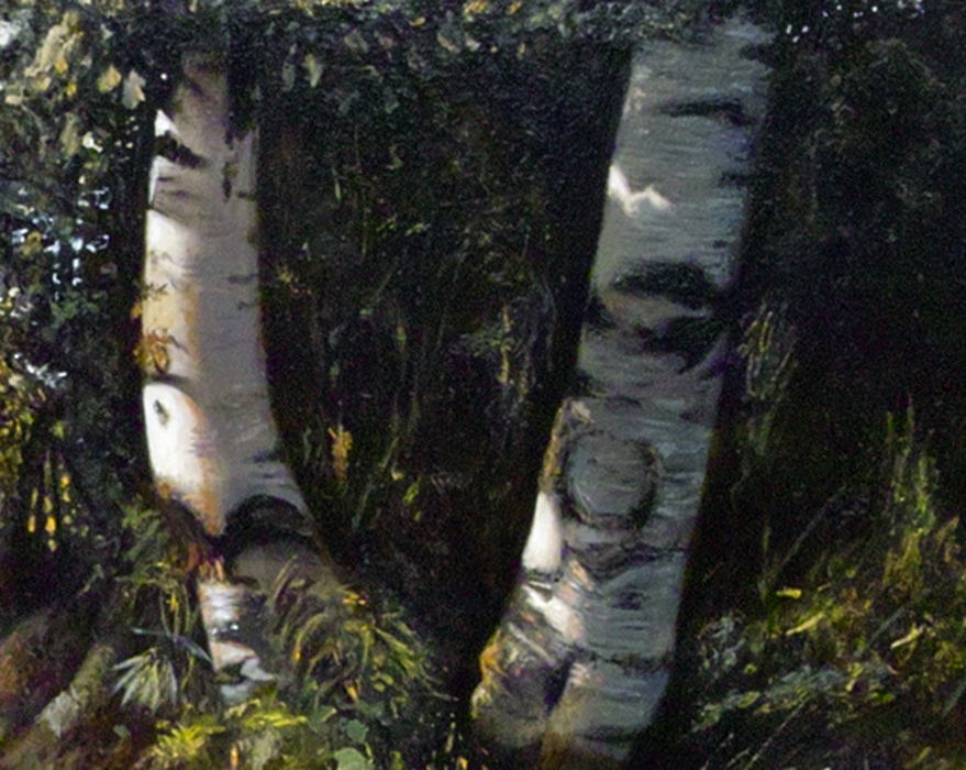 Détail — Flaque de Kôltuchi — 2