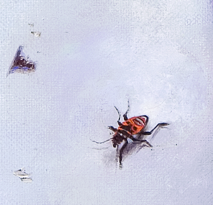 Détail — Passage du gendarme — 1